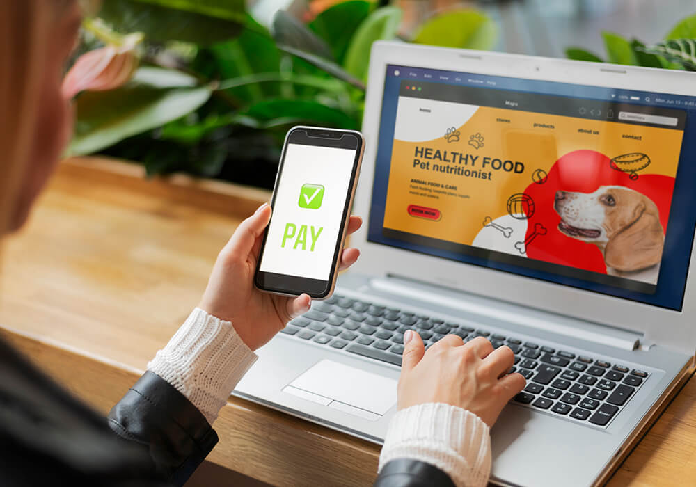 eCommerce Web Development Services in Dubai - AWD Tech Solutions